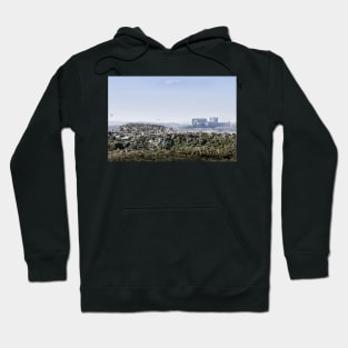 Guillemots on the Farne islands with Bamburgh Castle in the distance Hoodie
